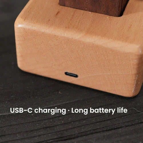 Marinova™ – Handcrafted Wooden Manta Ray Automaton